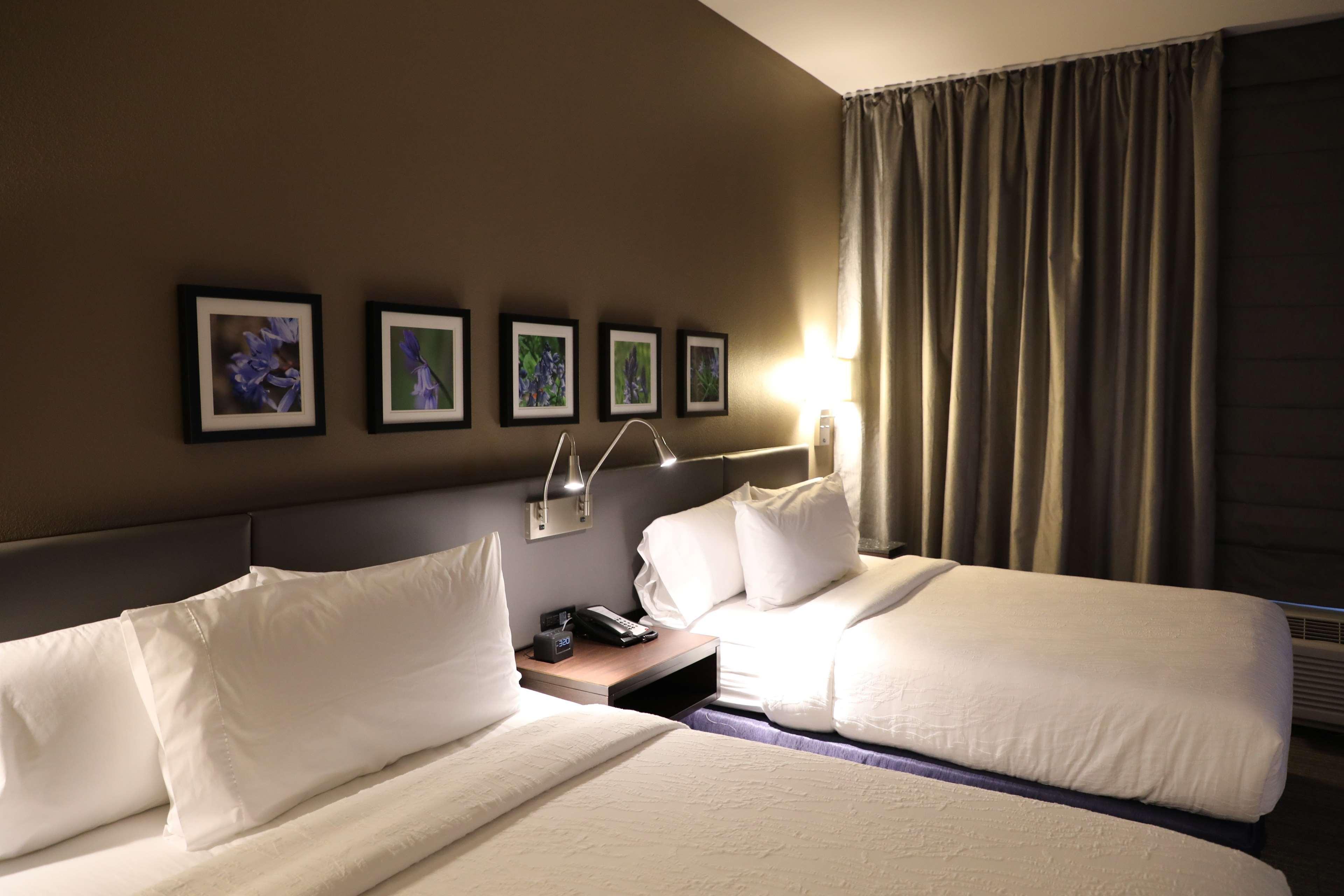 Hilton Garden Inn Austin Airport Exterior photo