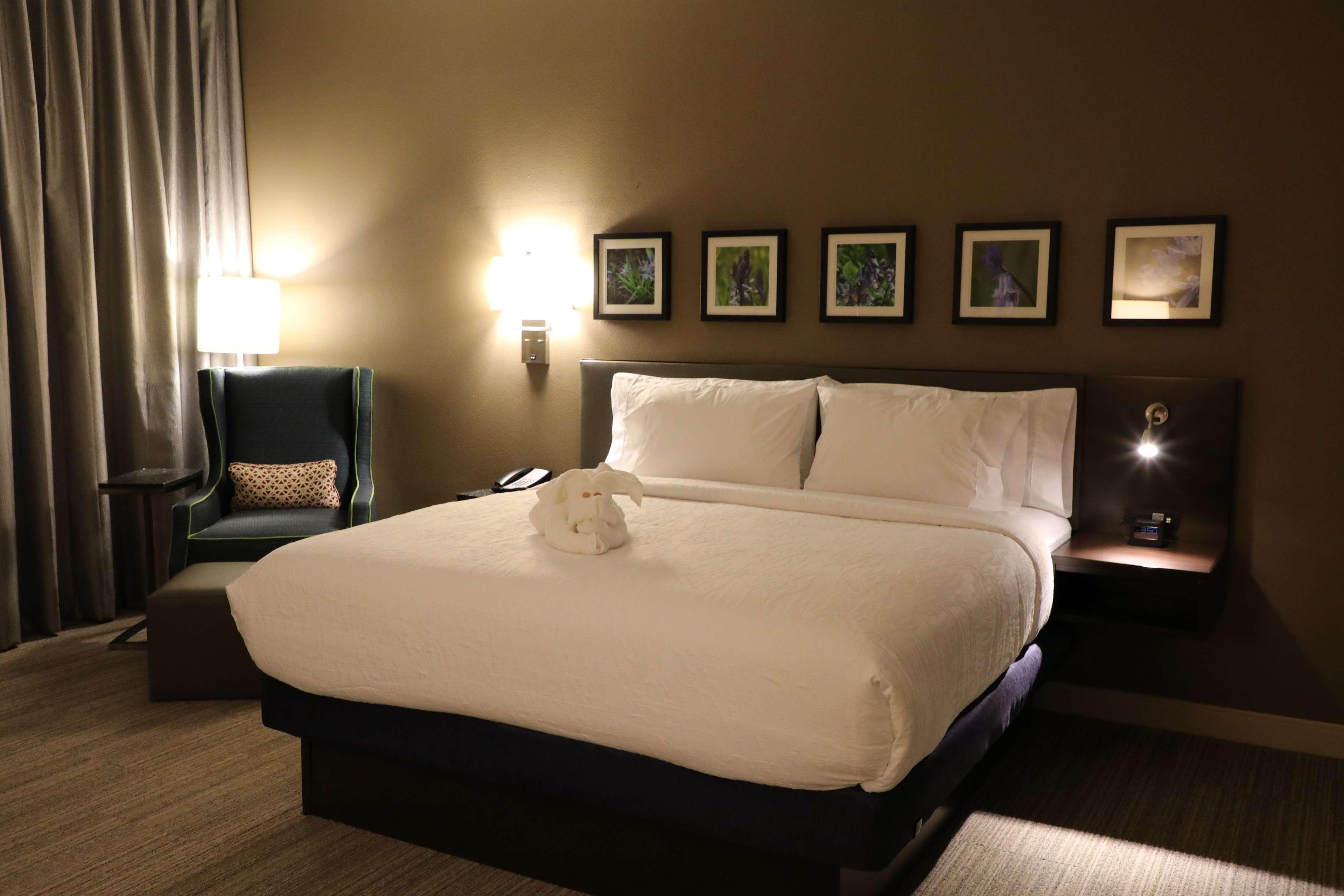 Hilton Garden Inn Austin Airport Exterior photo