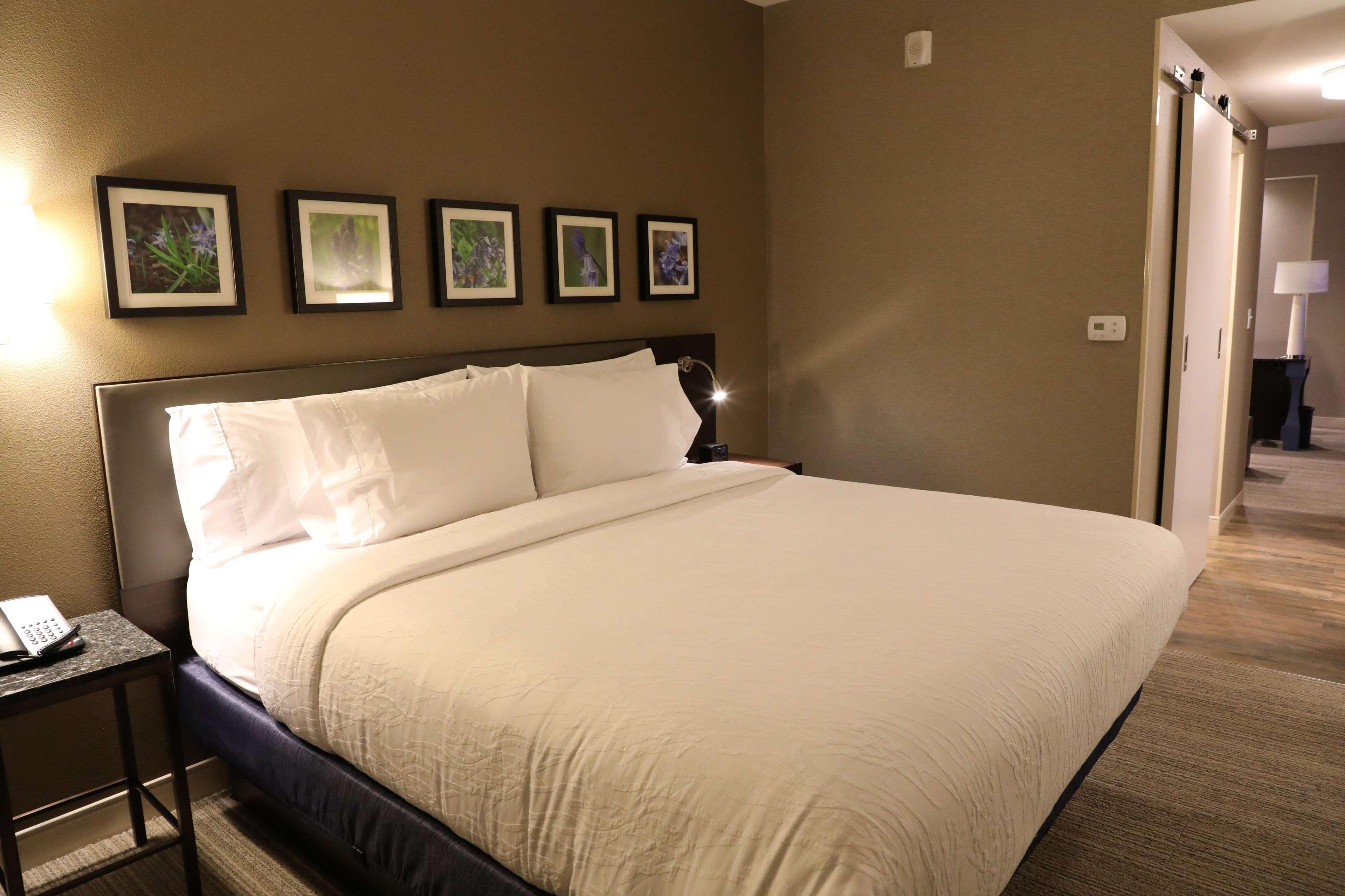 Hilton Garden Inn Austin Airport Exterior photo